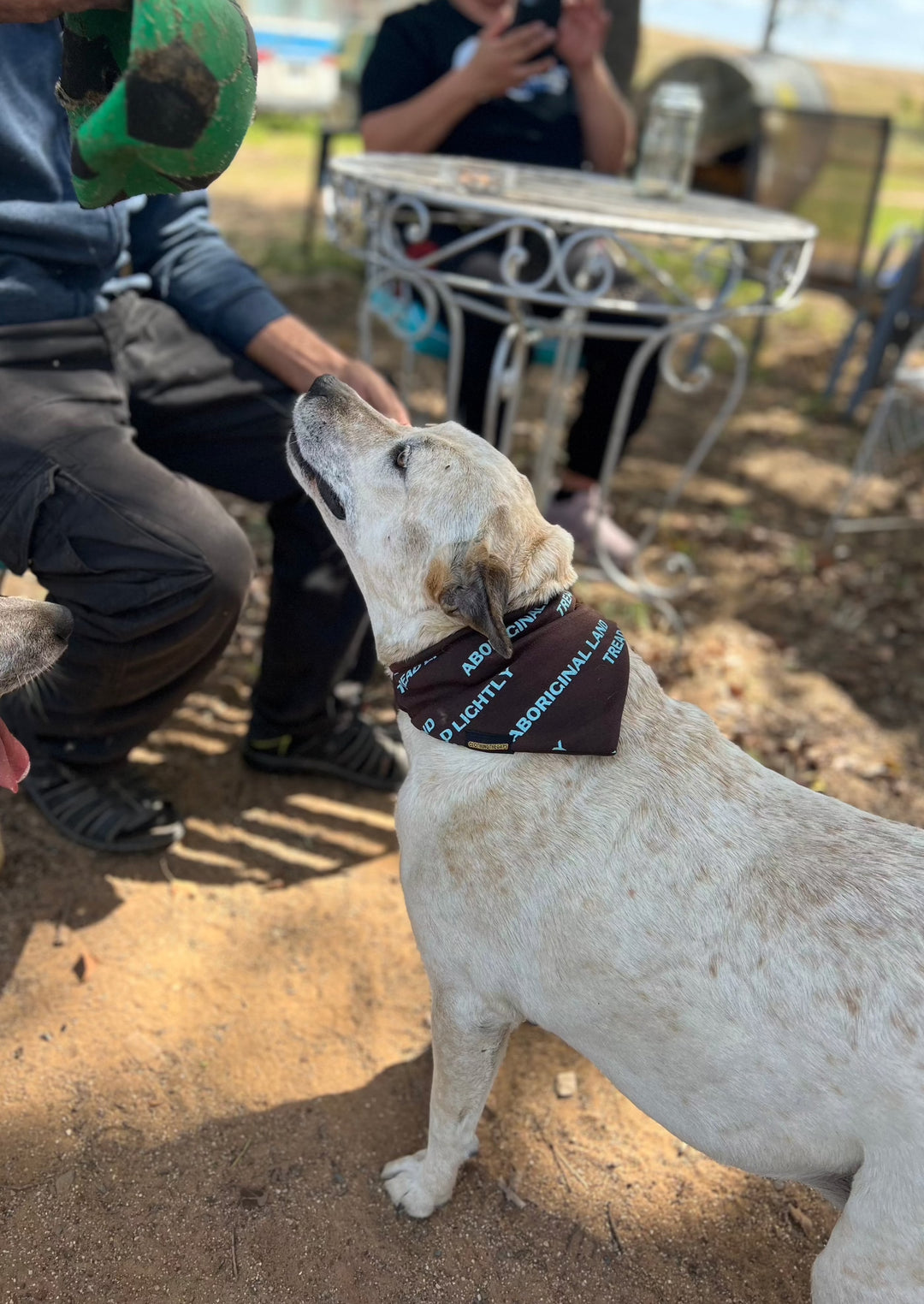 Clothing The Gaps. tread Lightly  pet dog scarf. Bandana shaped scarf goes through dogs collar. available in orange/brown and orange/blue Chocolate Brown bib with repeating pattern all over crew of the words 'Aboriginal Land Tread Lightly' text in a light blue colour or orange colour. 