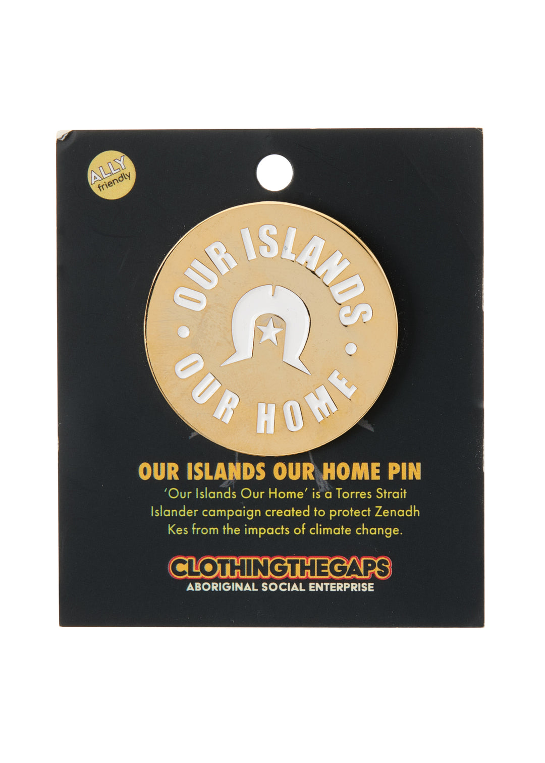 Our Islands Our Home Pin