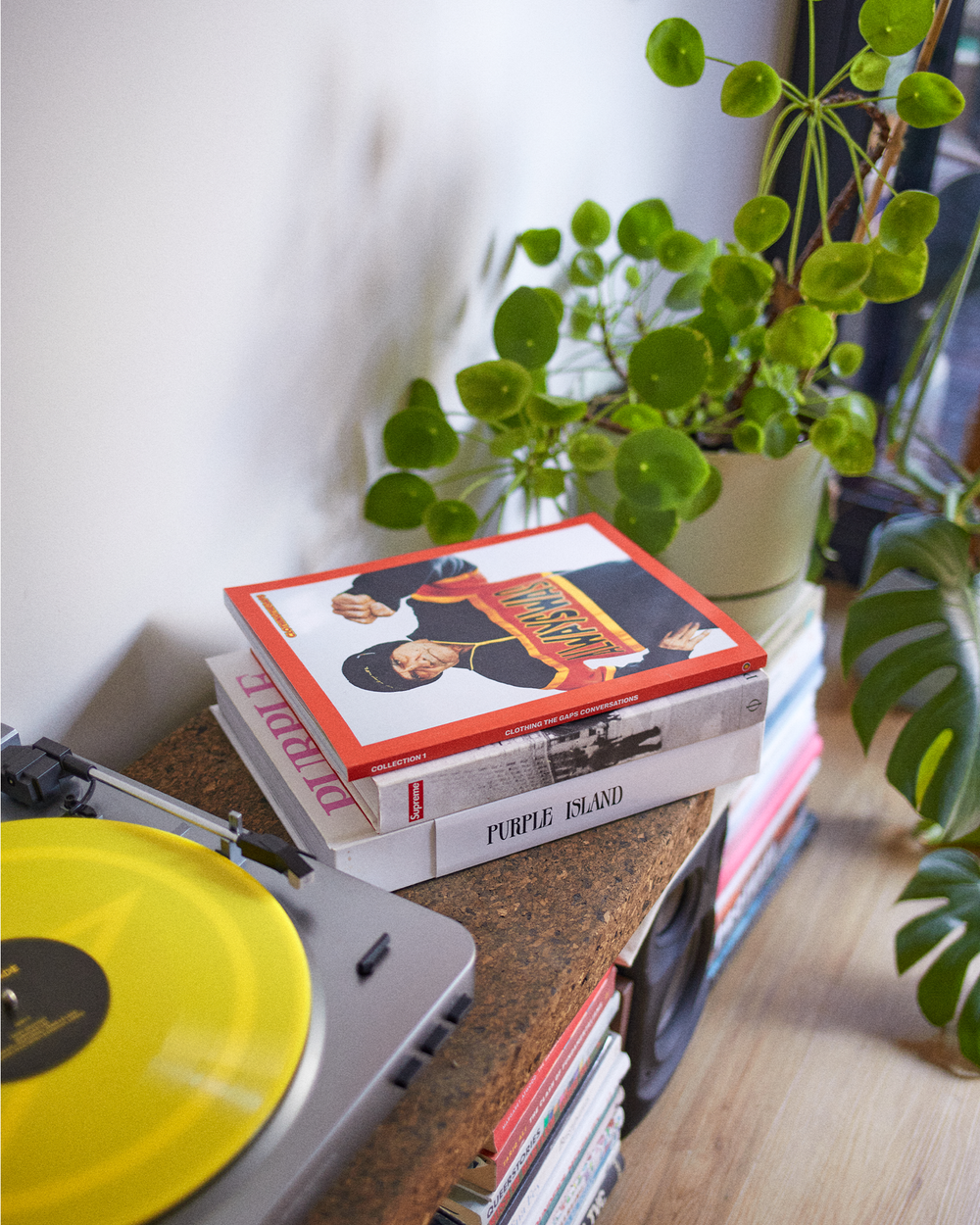 Clothing The Gaps. Self-Published Book DIGITAL DOWNLOAD. This book is a legacy piece – it allows us to reflect on our feelings, struggles, opinions and visions for the future. Containing many old pictures from photo shoots and shares the Clothing the gaps history.