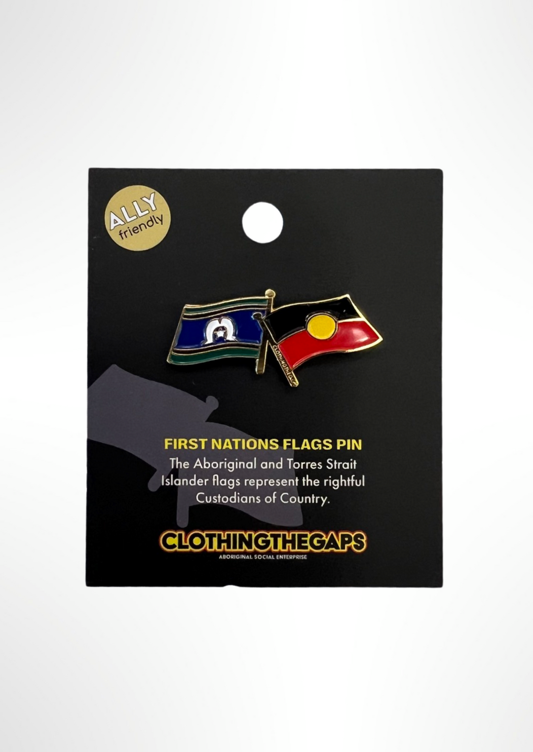 First Nation Flags Pin
